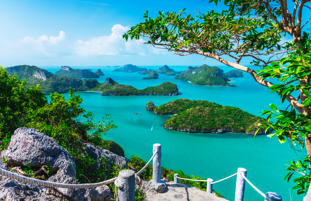 Paysage de Mu Koh Ang Thong, Samui, Thaïlande jigsaw puzzle in Magnifiques vues puzzles on TheJigsawPuzzles.com