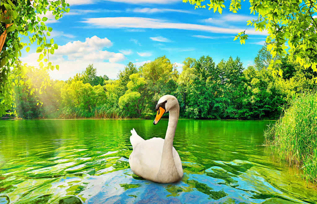 Swan on the River in the Evening jigsaw puzzle in Animals puzzles on TheJigsawPuzzles.com