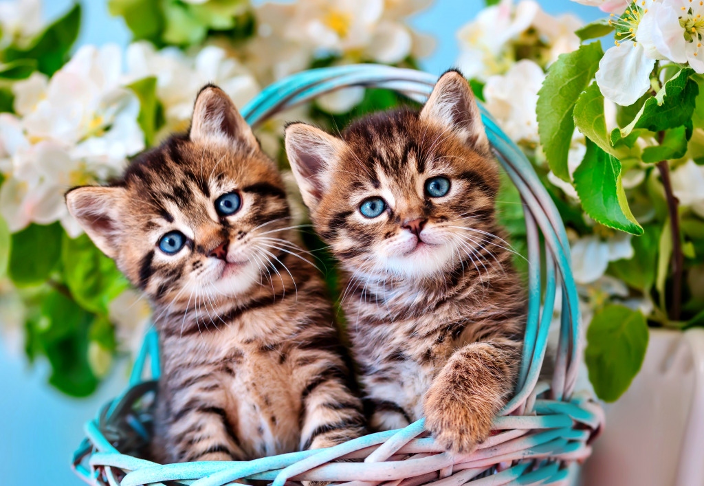 Dois gatinhos malhados em uma cesta jigsaw puzzle in Animais puzzles on TheJigsawPuzzles.com