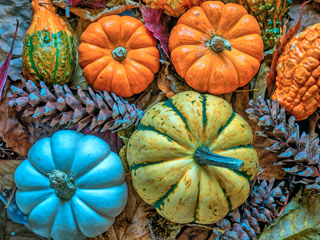 Pumpkins, Leaves and Pine Cones jigsaw puzzle in Fruits & Veggies puzzles on TheJigsawPuzzles.com