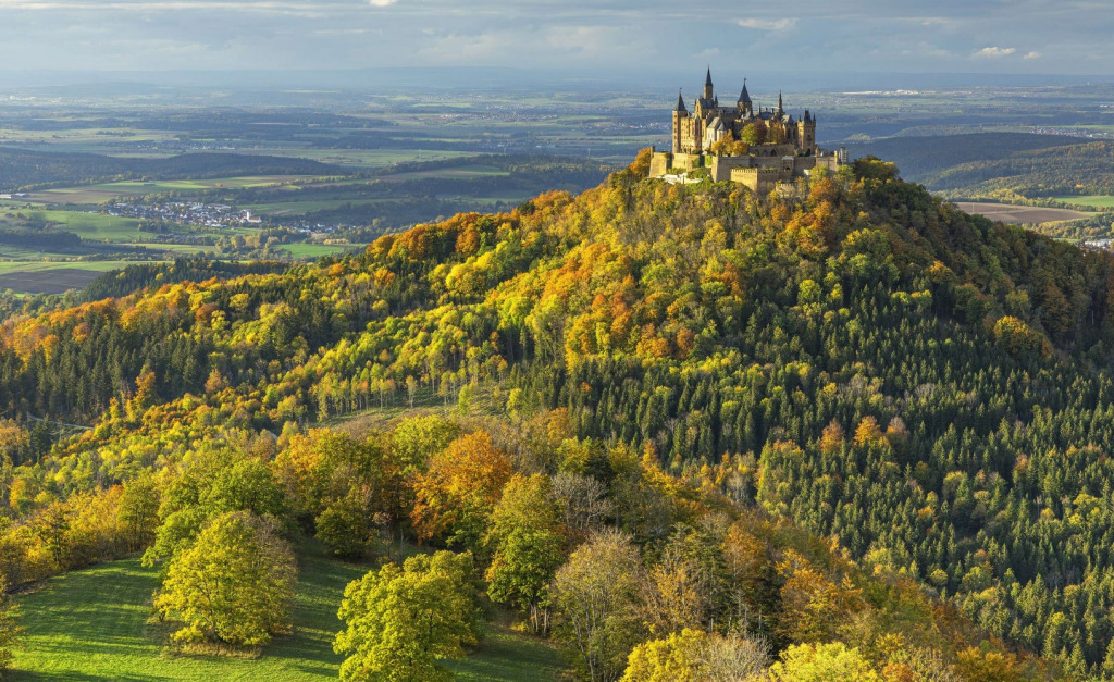 Screenshot 2024-09-01 041745 jigsaw puzzle in Carol Bush puzzles on TheJigsawPuzzles.com