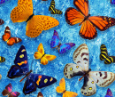 Seamless Pattern with Butterflies