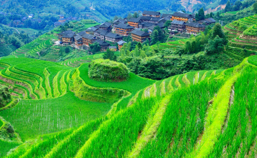 Screenshot 2024-08-10 035726 jigsaw puzzle in Carol Bush puzzles on TheJigsawPuzzles.com