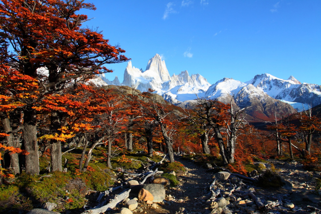 Los Glaciares National Park fall foliage jigsaw puzzle in Ralph Steele puzzles on TheJigsawPuzzles.com