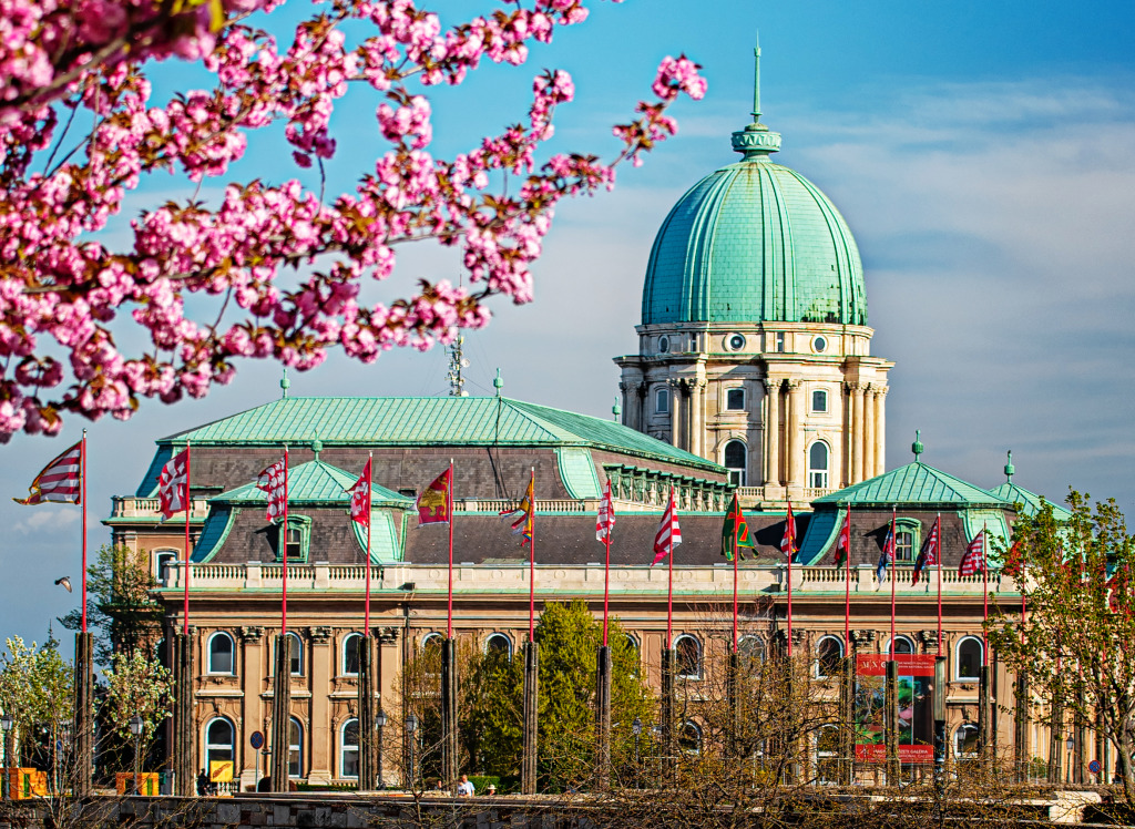 Buda Royal Castle, Budapest, Ungarn jigsaw puzzle in Schlösser puzzles on TheJigsawPuzzles.com