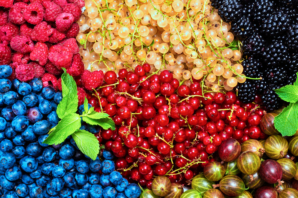 Different Berries Background jigsaw puzzle in Fruits & Veggies puzzles on TheJigsawPuzzles.com