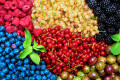 Different Berries Background