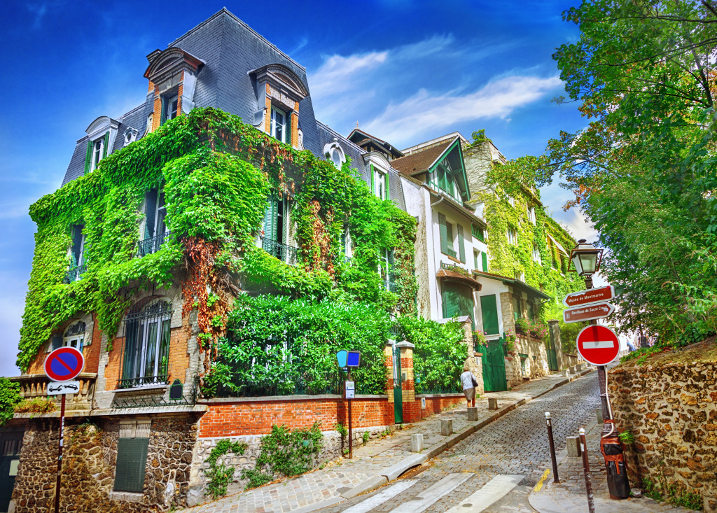 Rue du quartier de Montmartre, Paris, France jigsaw puzzle in Paysages urbains puzzles on TheJigsawPuzzles.com