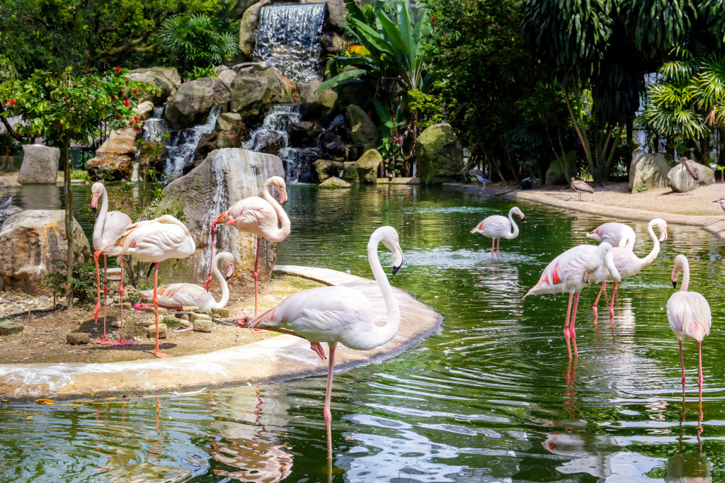 Flamingos on a Lake with a Waterfall jigsaw puzzle in Waterfalls puzzles on TheJigsawPuzzles.com