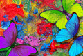 Morpho Butterflies on an Artist's Palette