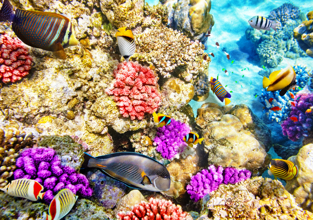 Wonderful Underwater World jigsaw puzzle in Under the Sea puzzles on TheJigsawPuzzles.com