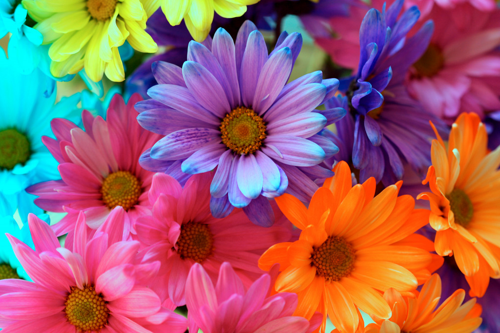 Colorful Floral Background jigsaw puzzle in Macro puzzles on TheJigsawPuzzles.com