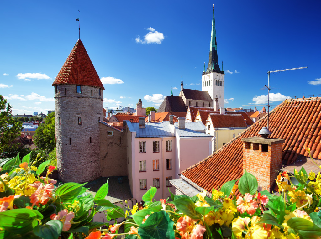 Vista da antiga Tallinn, Estônia jigsaw puzzle in Castelos puzzles on TheJigsawPuzzles.com