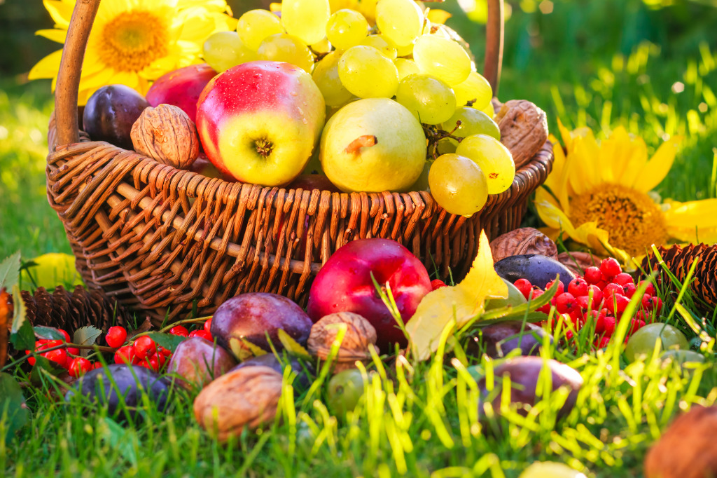 A Basket Full of Fruits in the Sunset jigsaw puzzle in Fruits & Veggies puzzles on TheJigsawPuzzles.com