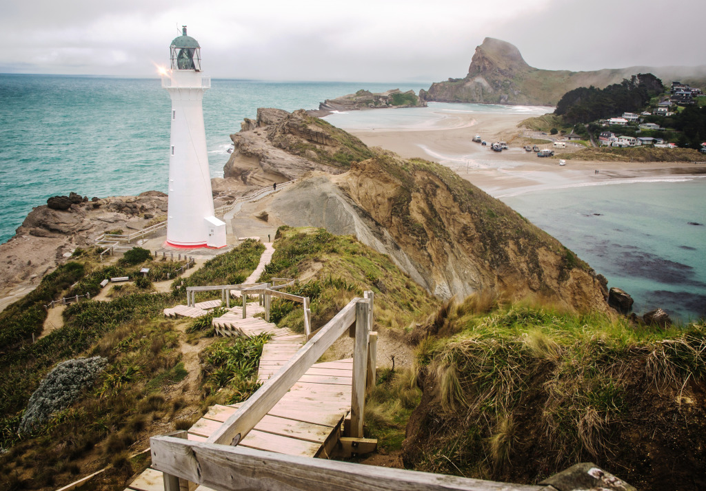 Phare de Castle Point en Nouvelle-Zélande jigsaw puzzle in Magnifiques vues puzzles on TheJigsawPuzzles.com