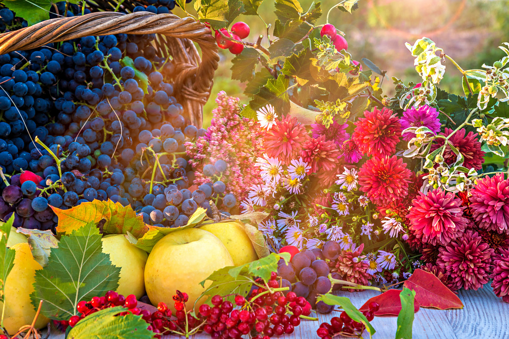 Autumn Composition with Ripe Fruits and Flowers jigsaw puzzle in Fruits & Veggies puzzles on TheJigsawPuzzles.com