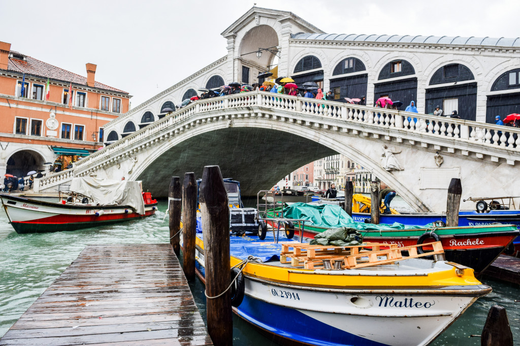 Regentag auf der Rialtobrücke, Venedig jigsaw puzzle in Brücken puzzles on TheJigsawPuzzles.com