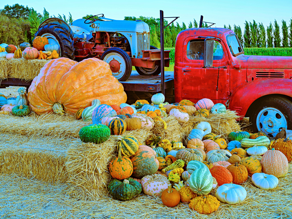 Vieux camion avec des citrouilles et des balles de foin jigsaw puzzle in Voitures et Motos puzzles on TheJigsawPuzzles.com