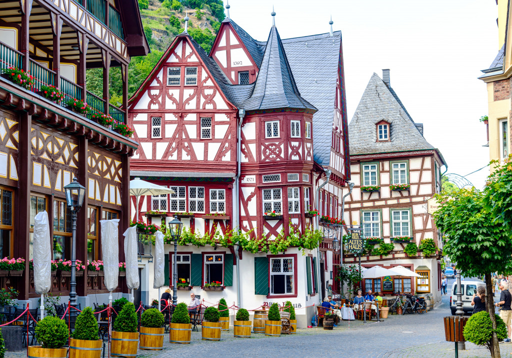 Maisons à colombages, Bacharach am Rhein, Allemagne jigsaw puzzle in Paysages urbains puzzles on TheJigsawPuzzles.com