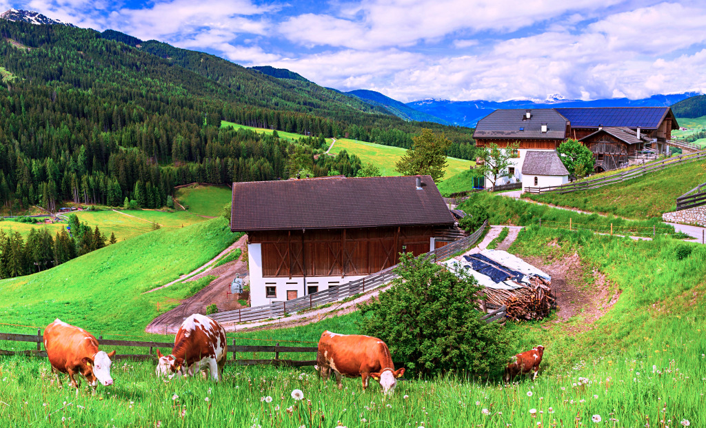 Almen für Kühe, Dolomiten jigsaw puzzle in Großartige Landschaften puzzles on TheJigsawPuzzles.com