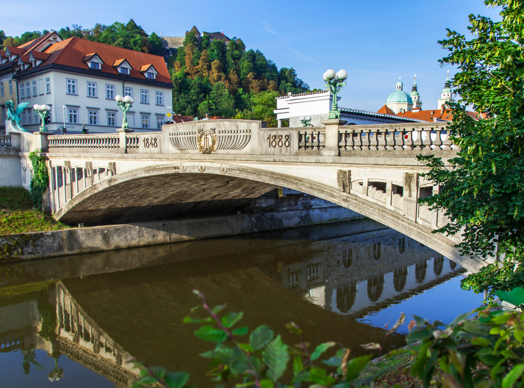 Drachenbrücke über den Fluss Ljubljanica, Slowenien jigsaw puzzle in Brücken puzzles on TheJigsawPuzzles.com