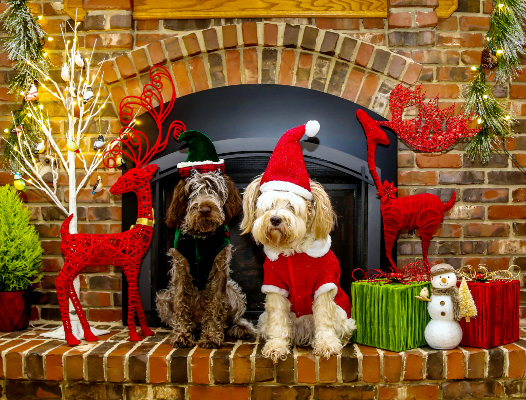 Hunde zu Weihnachten jigsaw puzzle in Weihnachten & Neujahr puzzles on TheJigsawPuzzles.com