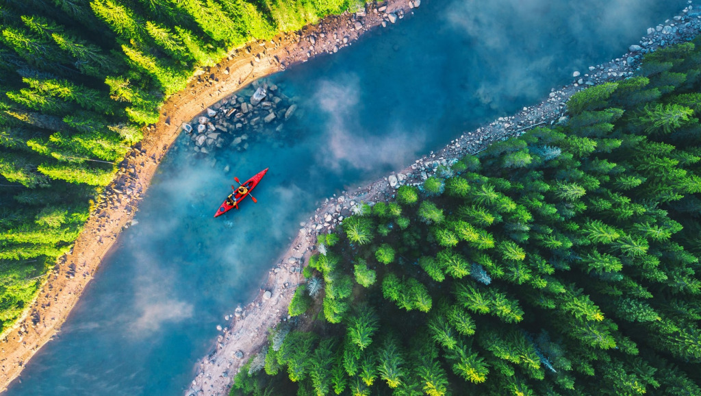 Screenshot 2024-11-13 185359 jigsaw puzzle in Carol Bush puzzles on TheJigsawPuzzles.com