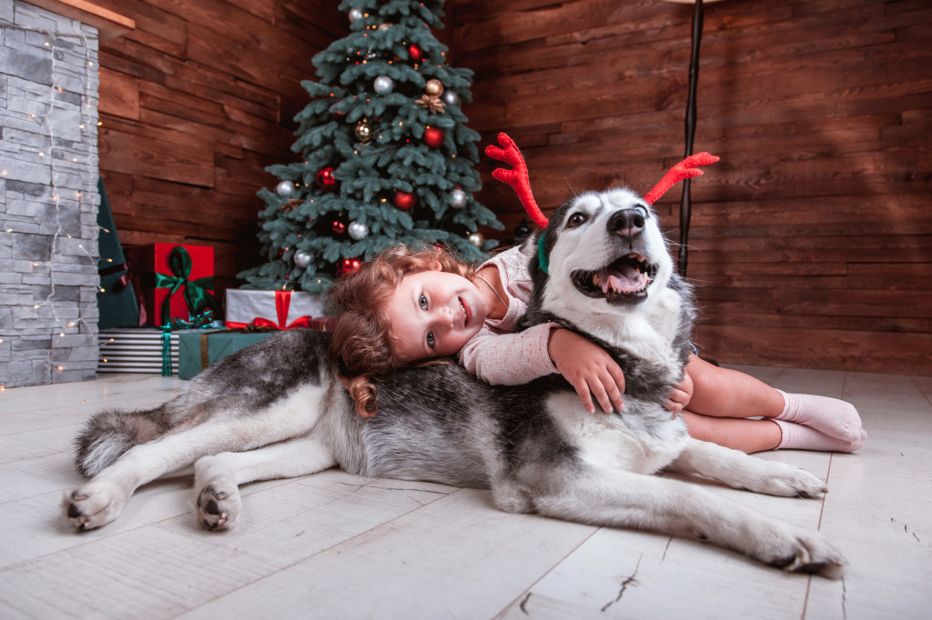 Little Girl with a Dog in a Christmas Interior jigsaw puzzle in Puzzle of the Day puzzles on TheJigsawPuzzles.com