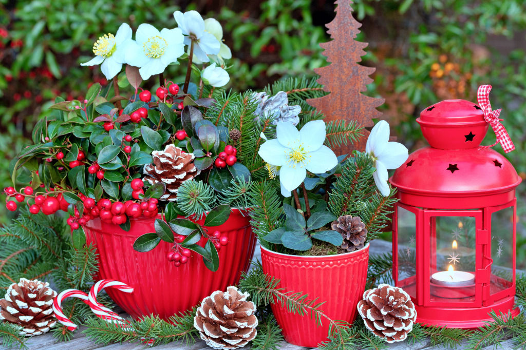 Winter Garden Decoration jigsaw puzzle in Flowers puzzles on TheJigsawPuzzles.com