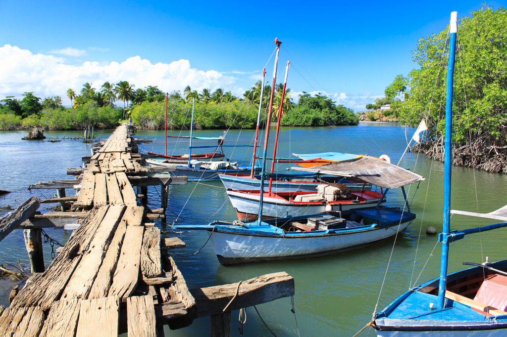 Wooden Bridge near a Small Village, Cuba jigsaw puzzle in Bridges puzzles on TheJigsawPuzzles.com