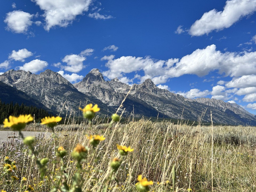 Jackson Hole - By Laurel and Jule jigsaw puzzle in Clarice Rinard puzzles on TheJigsawPuzzles.com
