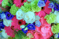 Beautiful Flowers Background