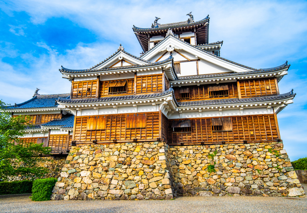 Fukuchiyama Castle, Kyoto, Japan jigsaw puzzle in Schlösser puzzles on TheJigsawPuzzles.com