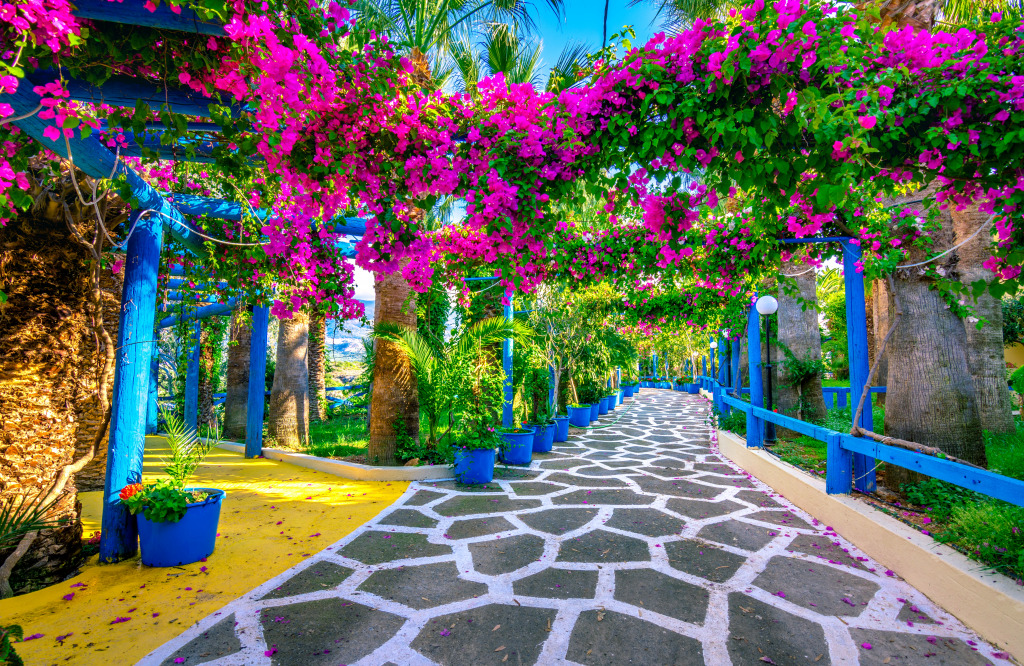 Colorful Bougainvillea Flowers, Crete, Greece jigsaw puzzle in Flowers puzzles on TheJigsawPuzzles.com