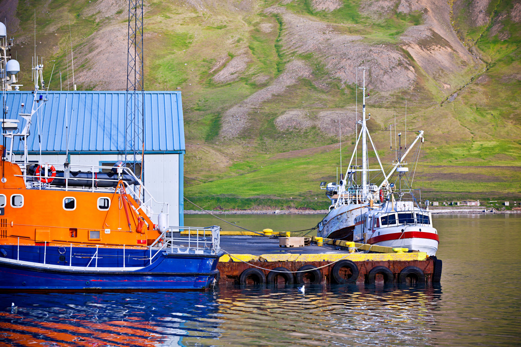 Iceland Harbor with Fishing Boats jigsaw puzzle in Puzzle of the Day puzzles on TheJigsawPuzzles.com