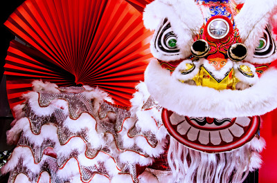 chinese new year lion dragon dance puppet