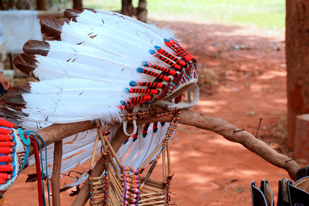 Native American Indian Chief Headdress jigsaw puzzle in Macro puzzles on TheJigsawPuzzles.com