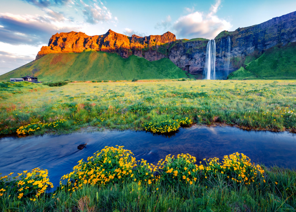 Morgendlicher Blick auf den Wasserfall Seljalandsfoss, Island jigsaw puzzle in Wasserfälle puzzles on TheJigsawPuzzles.com