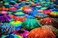 Colorful Umbrellas