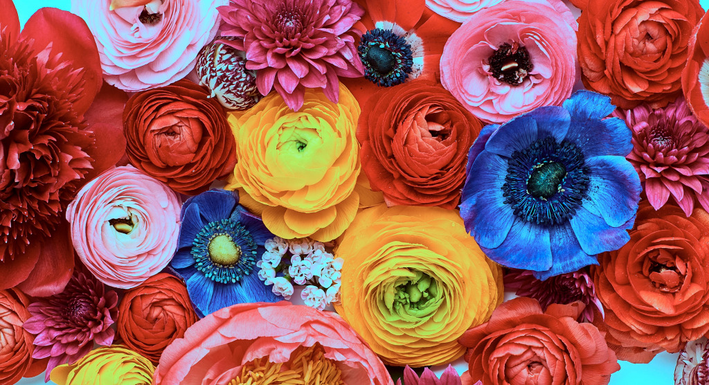 Beautiful Floral Background jigsaw puzzle in Flowers puzzles on TheJigsawPuzzles.com