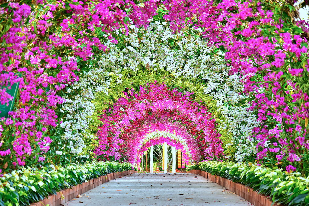 Orchid Tunnel jigsaw puzzle in Flowers puzzles on TheJigsawPuzzles.com