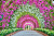 Orchid Tunnel