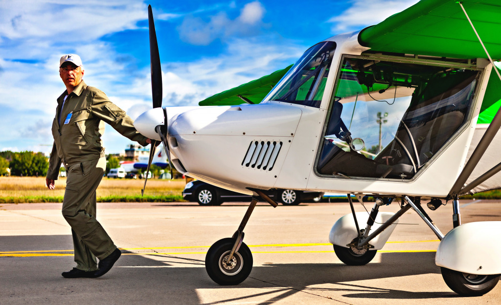 Ein Pilot, der das Flugzeug auf die Startbahn rollt jigsaw puzzle in Luftfahrt puzzles on TheJigsawPuzzles.com