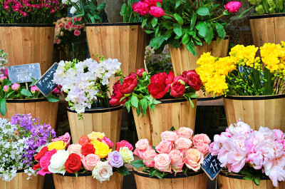 Entrance to a Flower Shop in Paris, France