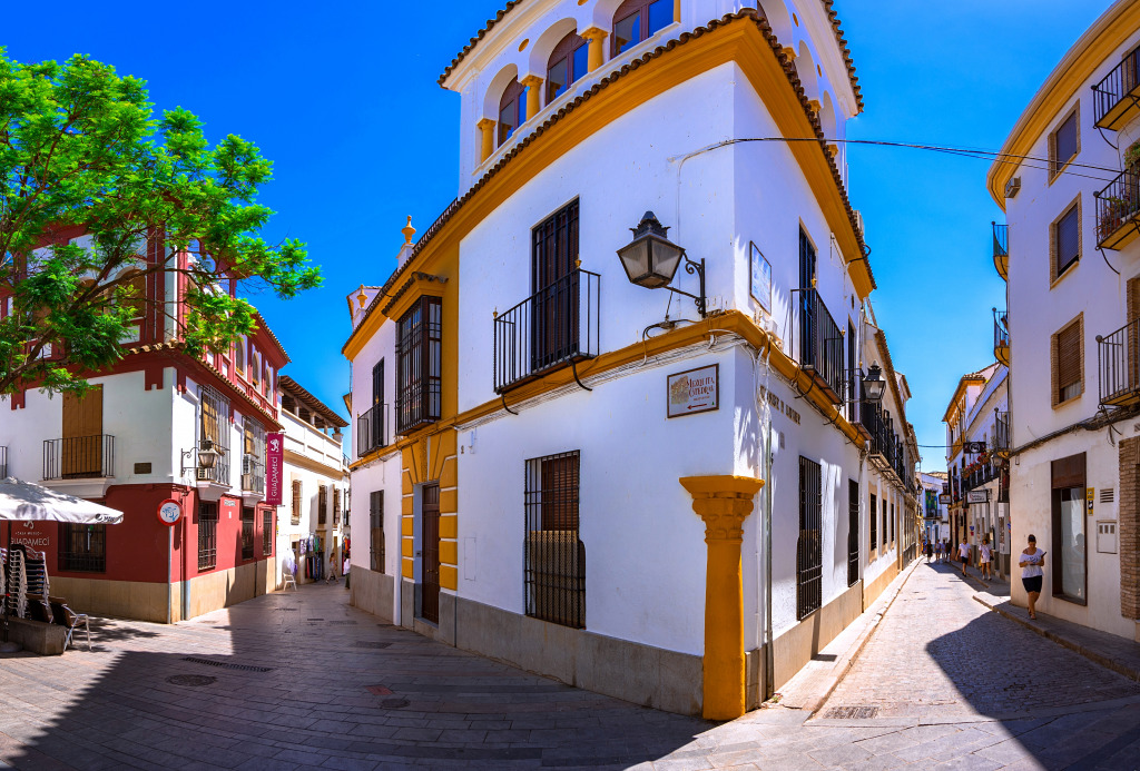 Street View of the Old Andalusian City of Cordoba jigsaw puzzle in Puzzle of the Day puzzles on TheJigsawPuzzles.com