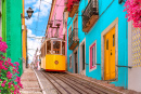 Yellow Tram on a Street in Lisbon, Portugal