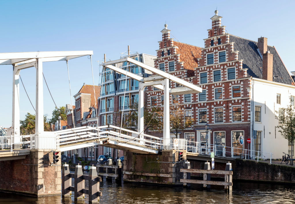 Pont de Gravestenenbrug sur la rivière Spaarne jigsaw puzzle in Ponts puzzles on TheJigsawPuzzles.com