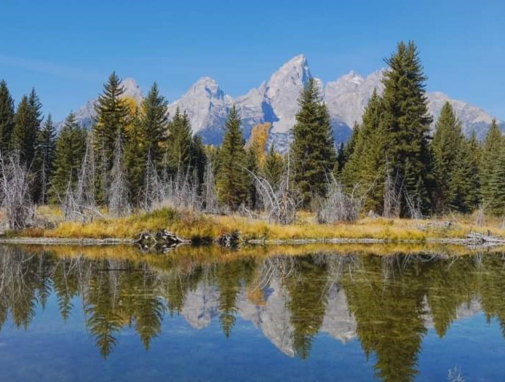 Grand Teton Beauty jigsaw puzzle in Valerie M Griffin puzzles on TheJigsawPuzzles.com