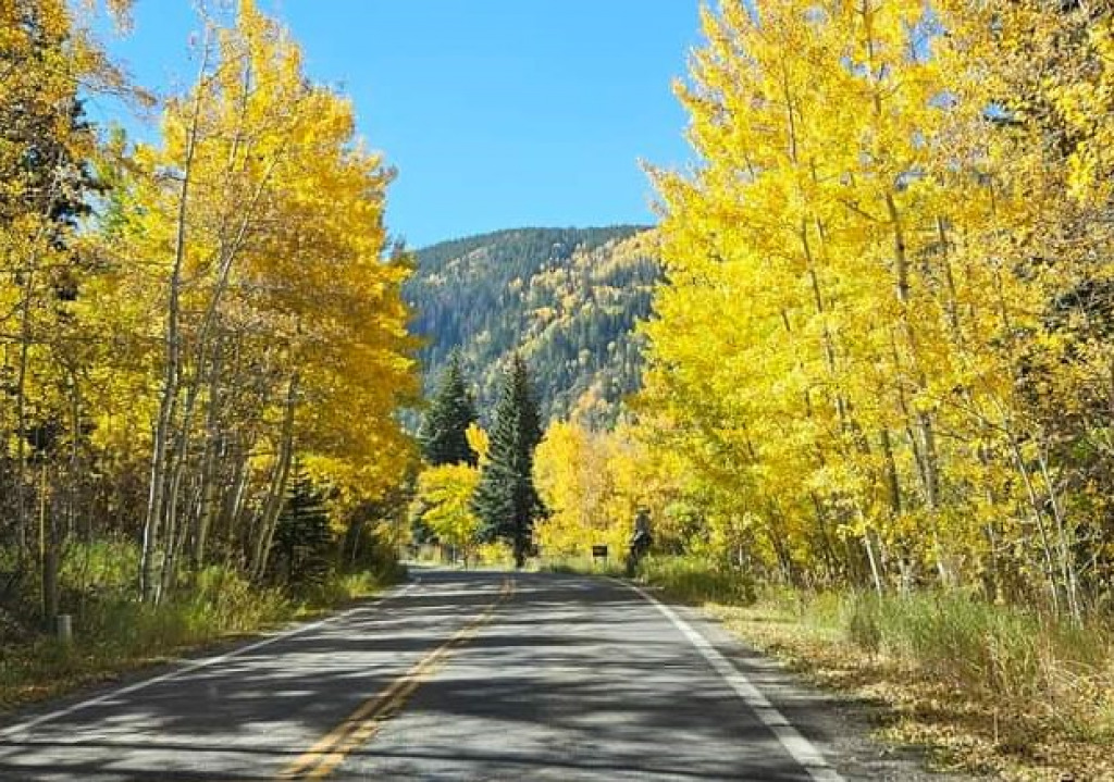 Independence Pass Through the Aspens jigsaw puzzle in Valerie M Griffin puzzles on TheJigsawPuzzles.com