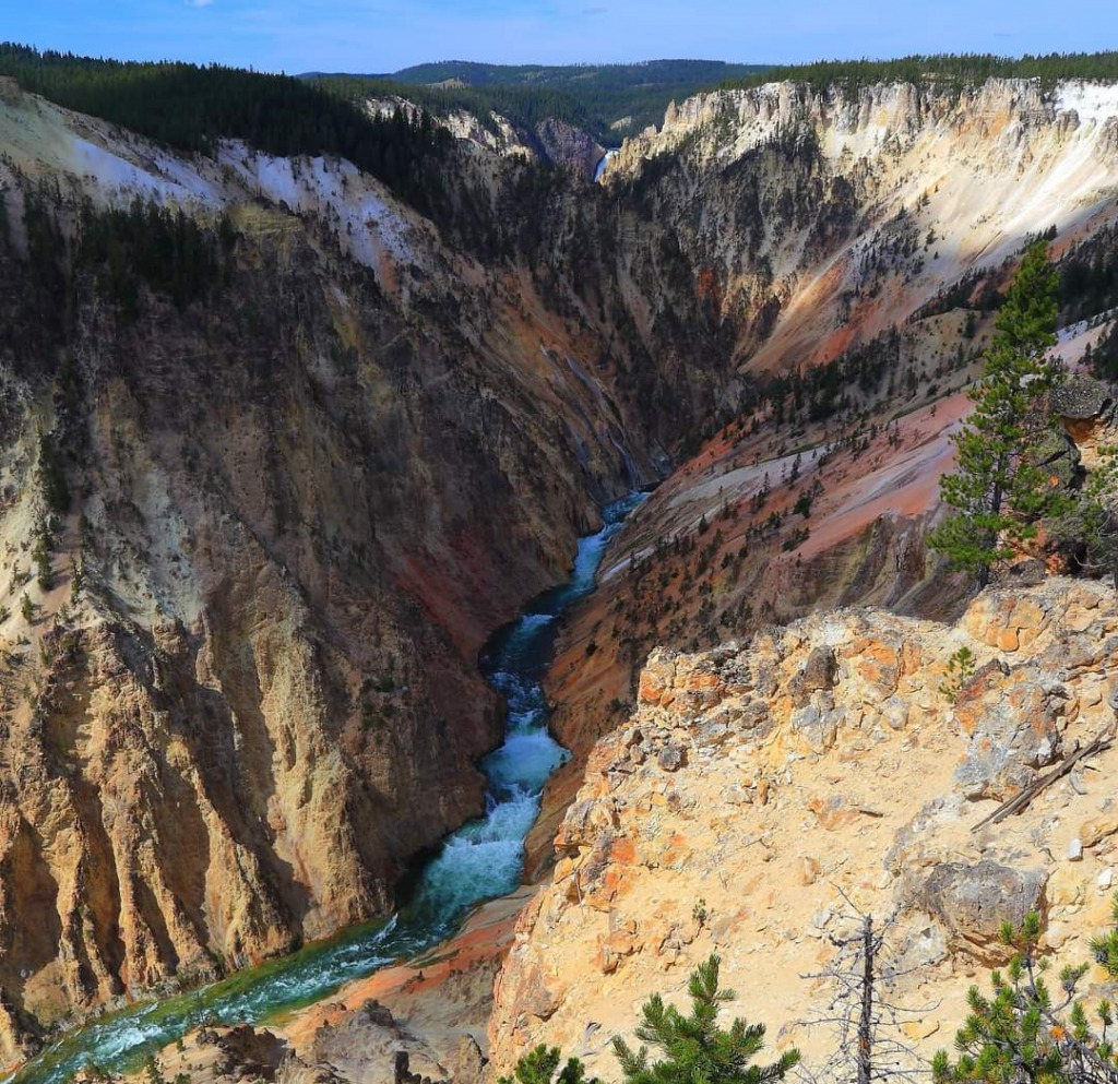 Inspiration Point, Yellowstone jigsaw puzzle in Valerie M Griffin puzzles on TheJigsawPuzzles.com